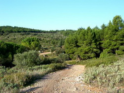 Le massif de la Gardiole